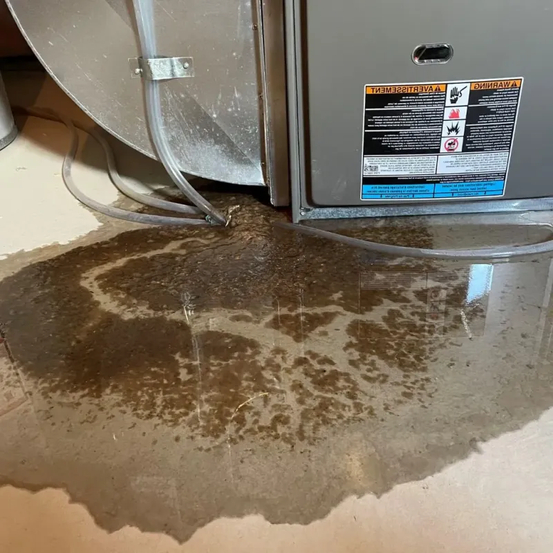 Pipe Burst and Leak Restoration in Palos Heights, IL